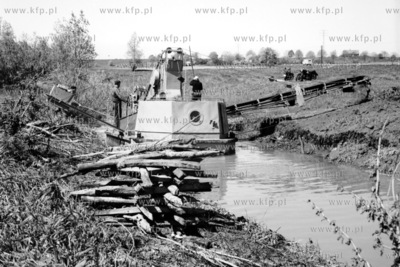 Prace melioracyjne na Żuławach. 1963
0006452z_zulawy
Fot....
