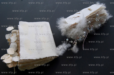 W Pomorskim Parku Naukowo - Technologicznym trwa unikatowa,...