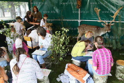 "Zwiedzaj swoj las"  Lesny Festyn Edukacyjny na Molo...
