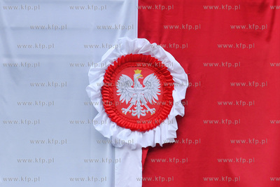 Gdynskie Urodziny Niepodleglej. Parada Niepodleglosci...