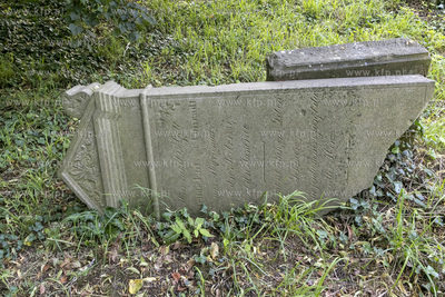 Cmentarz mennonicki z II połowy XVIII wieku w Stawcu...