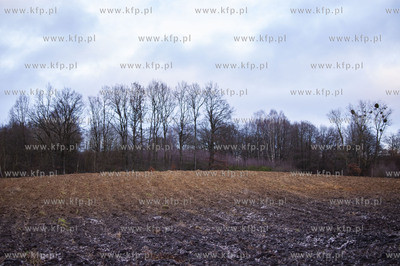 Dobrzewino, wieś na Kaszubach w powiecie wejherowskim.20.01.2020...