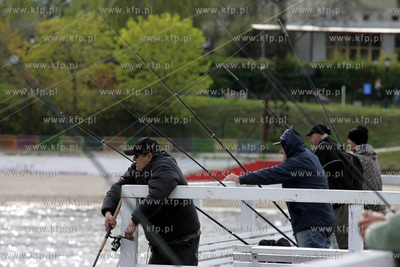 Wedkarze lowiacy belone z mola w Gdyni Orlowie. 18.05.2005...