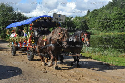 Kaszubskie dozynki powiatu kartuskiego w Zukowie. Drabiniasty...