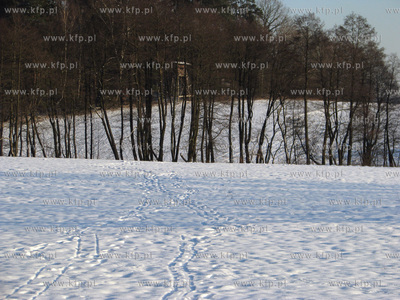 Pole i las podczas zimy we wsi Sulmin na Kaszubach....