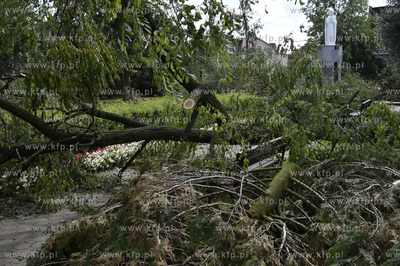 Skutki wichury na Pomorzu. Zniszczony park w miejscowości...
