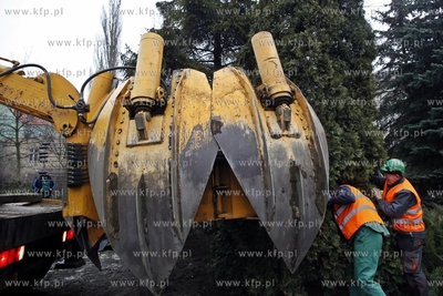 Sopot. Wykopywanie drzew i krzewow  na placyku przy...