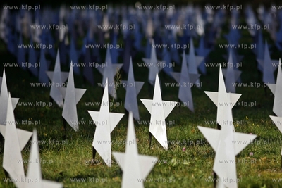 Cmentarz zolnierzy radzieckich w Gdansku.
31.10.2013
fot....