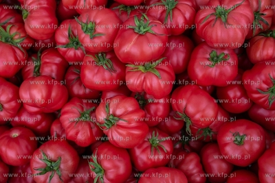 Gdańsk, Stary Maneż, Targ śniadaniowy. 13.07.2019...