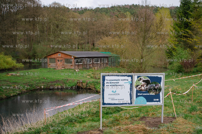 Gdański Ogród Zoologiczny.  Konferencja prasowa dot....