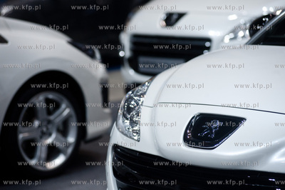 Gdansk. Ergo Arena. IV Trojmiejskie Targi Motoryzacyjne....