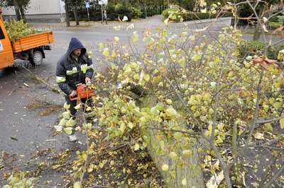 Polamane drzewa, przygniecione auta, zniszczone dachy...