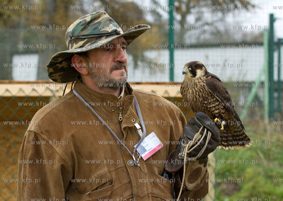 Sokolnik ze skrzydlatymi przyjaciolmi, nowymi pracownikami...