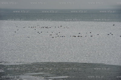 Molo - Sopot. Zamarza Zatoka Gdanska w rejonie sopockiego...