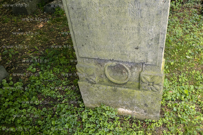 Największy w Polsce, wpisany w 1988 roku do rejestru...