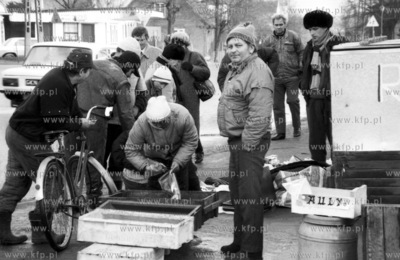 Przydrozna sprzedaz ryb w jednej z Pomorskich wsi,...