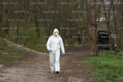 Gdańsk Brzeźno. W parku, niedaleko wejścia na plażę,...