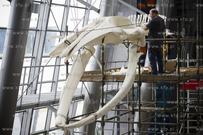 Wydział Biologii Uniwersytetu Gdańskiego. Montaż...