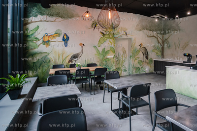 Gdański Ogród Zoologiczny.  Konferencja prasowa dot....