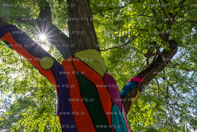 Gdańsk, Strzyża. Plac Gen. Maczka. Nz. Drzewa ozdobione...
