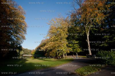 Gdansk. Sloneczne jesienne popoludnie w Parku Orunskim.
17.10.2012
fot....