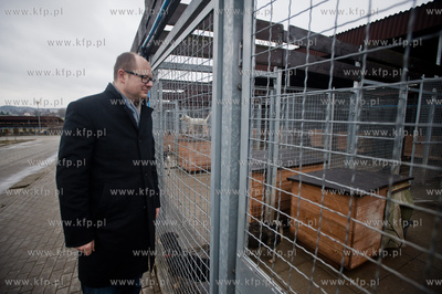 Gdansk. Schronisko dla bezdomych zwierzat Promyk. Akcja...