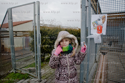 Gdansk. Schronisko dla bezdomych zwierzat Promyk. Akcja...