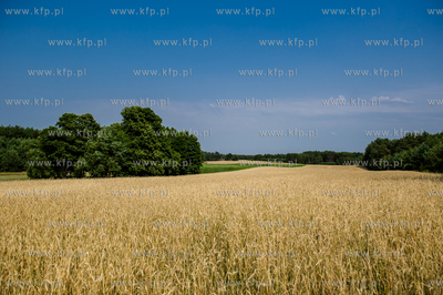 04.08.2015
fot. Mateusz Ochocki / KFP
