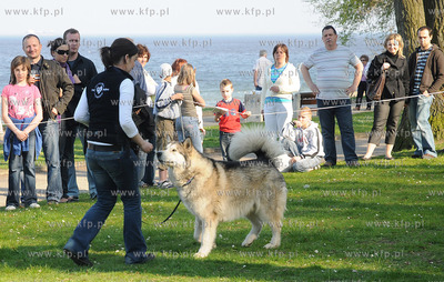 Skwer Arki Gdynia, obok Bulwaru Nadmorskiego odbyl...