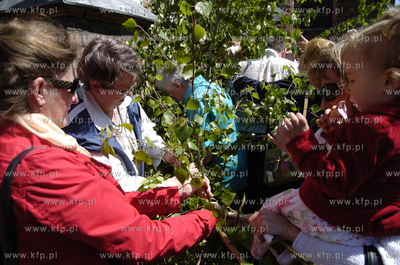 Slupsk
Procesja Bozego Ciala przeszla ulicami Slupska....