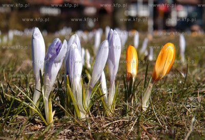 Sopot. Lazienki Poludniowe - Park im. Marii i Lecha...