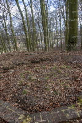 Park Ferberów w okolicach Traktu św. Wojciecha w...
