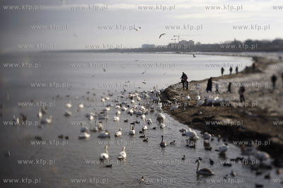 Sopot. Plaza. 
17.01.2011
fot. Krzysztof Mystkowski...