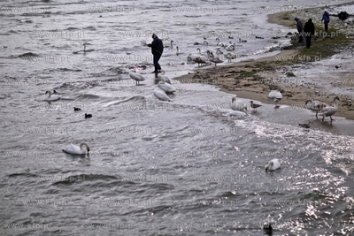 Sopot. Plaza.
21.02.2013
fot. Krzysztof Mystkowski...