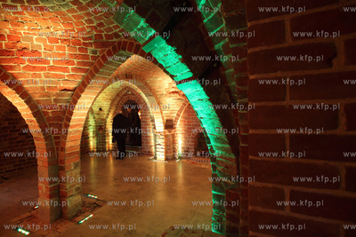 Uroczyste otwarcie Piwnicy Romanskiej z XIIIw., ktora...