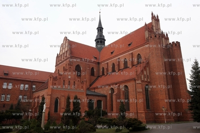 Pelplin. Katedra Wniebowziecia NMP. 16.12.2014 fot....