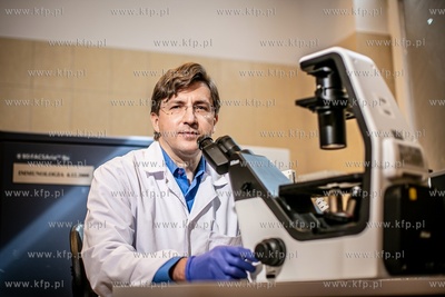 prof. Piotr Trzonkowski ( PolTREG ).
08.09.2021
fot....