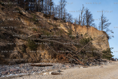 Przedwiośnie w Orłowie. 01.03.2026 / fot. Anna Rezulak...