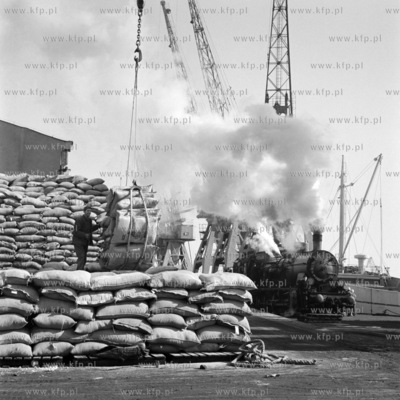 Załadunek worków z cukrem w porcie gdańskim.
03.1967
0000561z_marzec1967
Fot....