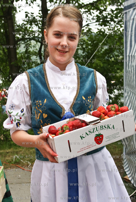 Zlota Gora k. Kartuz. Truskawkobranie to najwieksza...