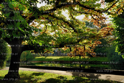 Gdansk Oliwa Park. Fragment parku z basenem parkowym.Poczatkiem...