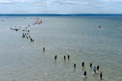 Marsz Sledzia odbywa sie Rybitwia Mielizna (Rewa Mew)...