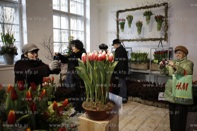 Gdansk.Wystawa Ogrod Kulturalny - Holandia, na ktorej...