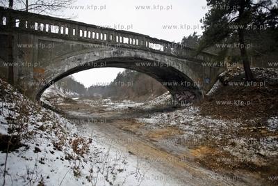 Gdansk. Wycinka drzew na trasie budowanej Kolei Metropolitalnej...