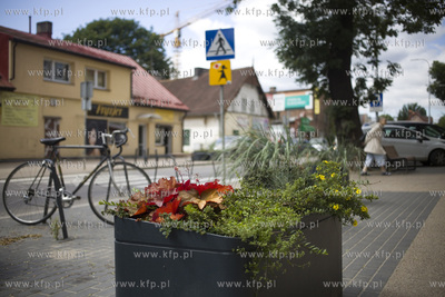 Gdańsk. Donice z kwiatami przy ul. Partyzantów.
18.07.2017
fot....
