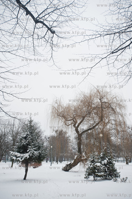 Gdansk. Park Stefensa wzdluz Al. Zwyciestwa.
20.03.2013
fot....