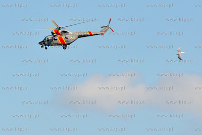 Wody Zatoki Gdanskiej. Antyterrorystyczne manewry pod...