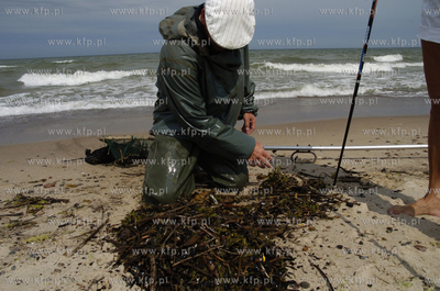 Piotr Grochala z Ustki zajmuje sie zawodowo polawianiem...