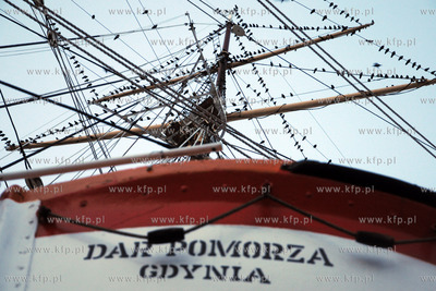 Tysiace ptakow przeslonilo w sobote wieczorem niebo...