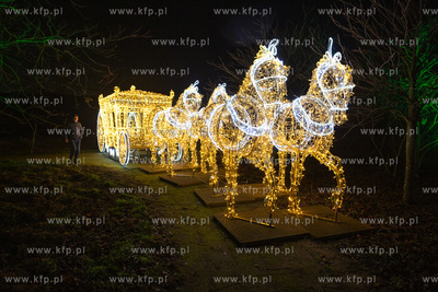 Przedpremierowy pokaz iluminacji w Lumina Park na terenie...
